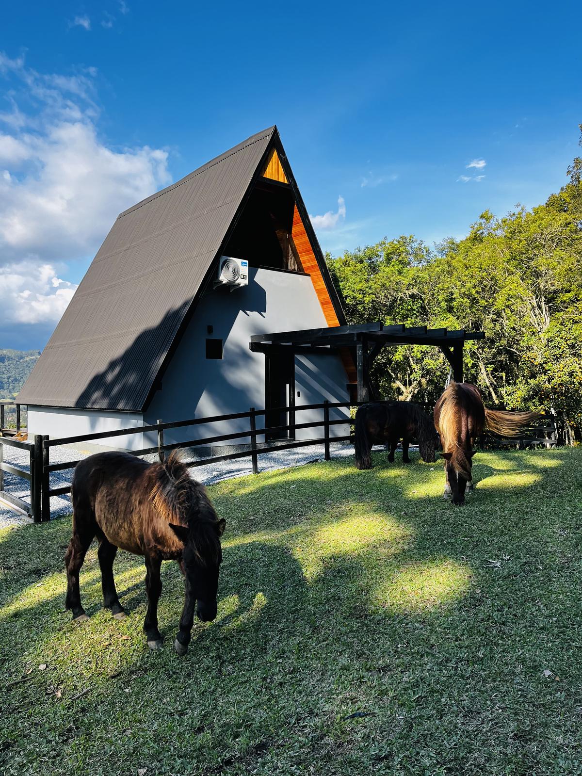 Fachada do chalé em formato A-frame com cavalos pastando no jardim ao entardecer