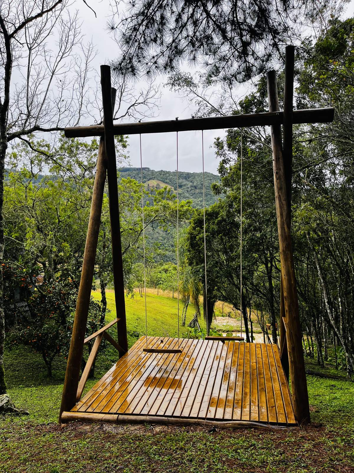 Balanço de madeira suspenso entre árvores, com vista para o vale da Serra Catarinense