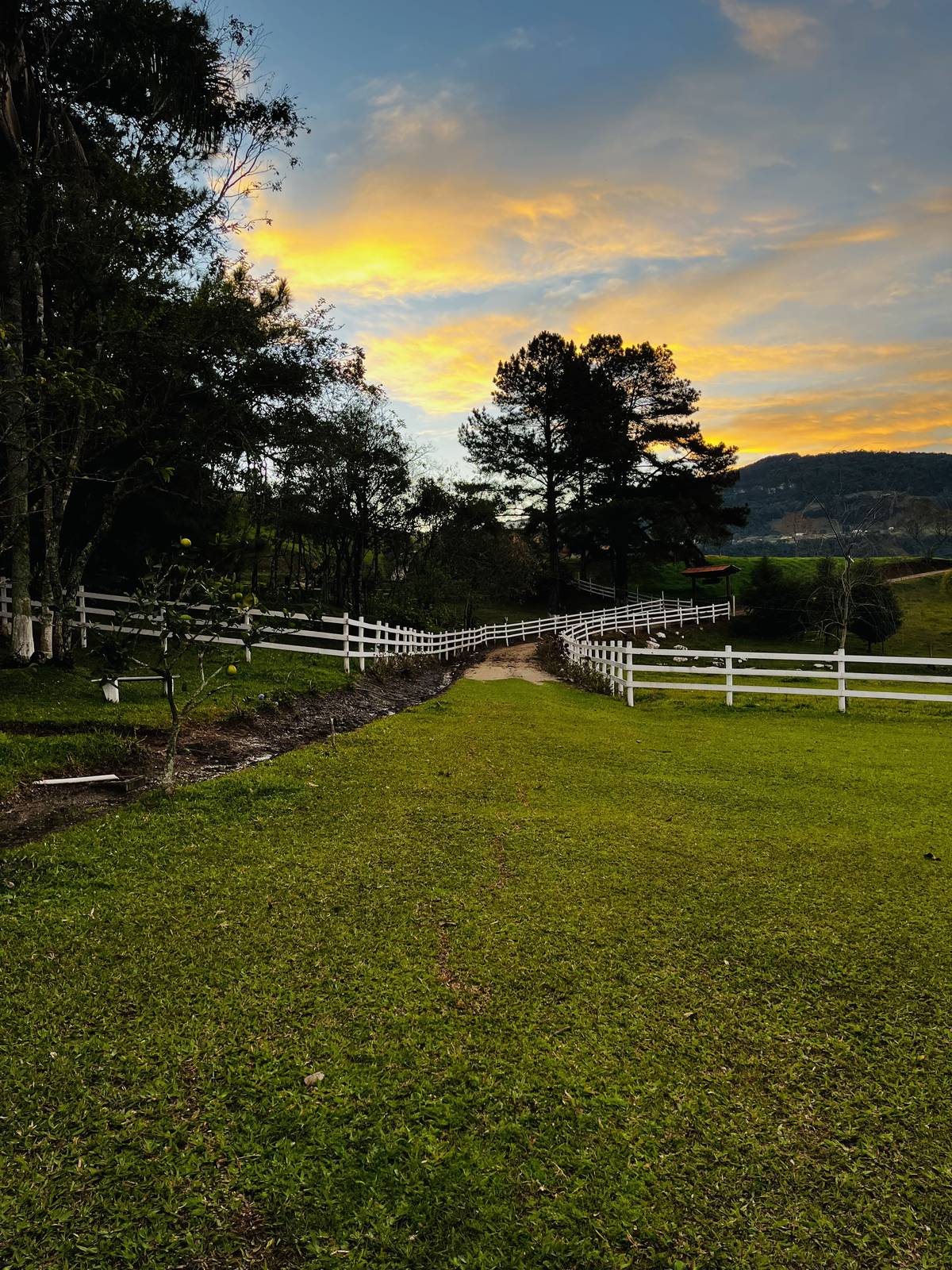 Pôr do sol dourado sobre caminho gramado com cerca branca na propriedade
